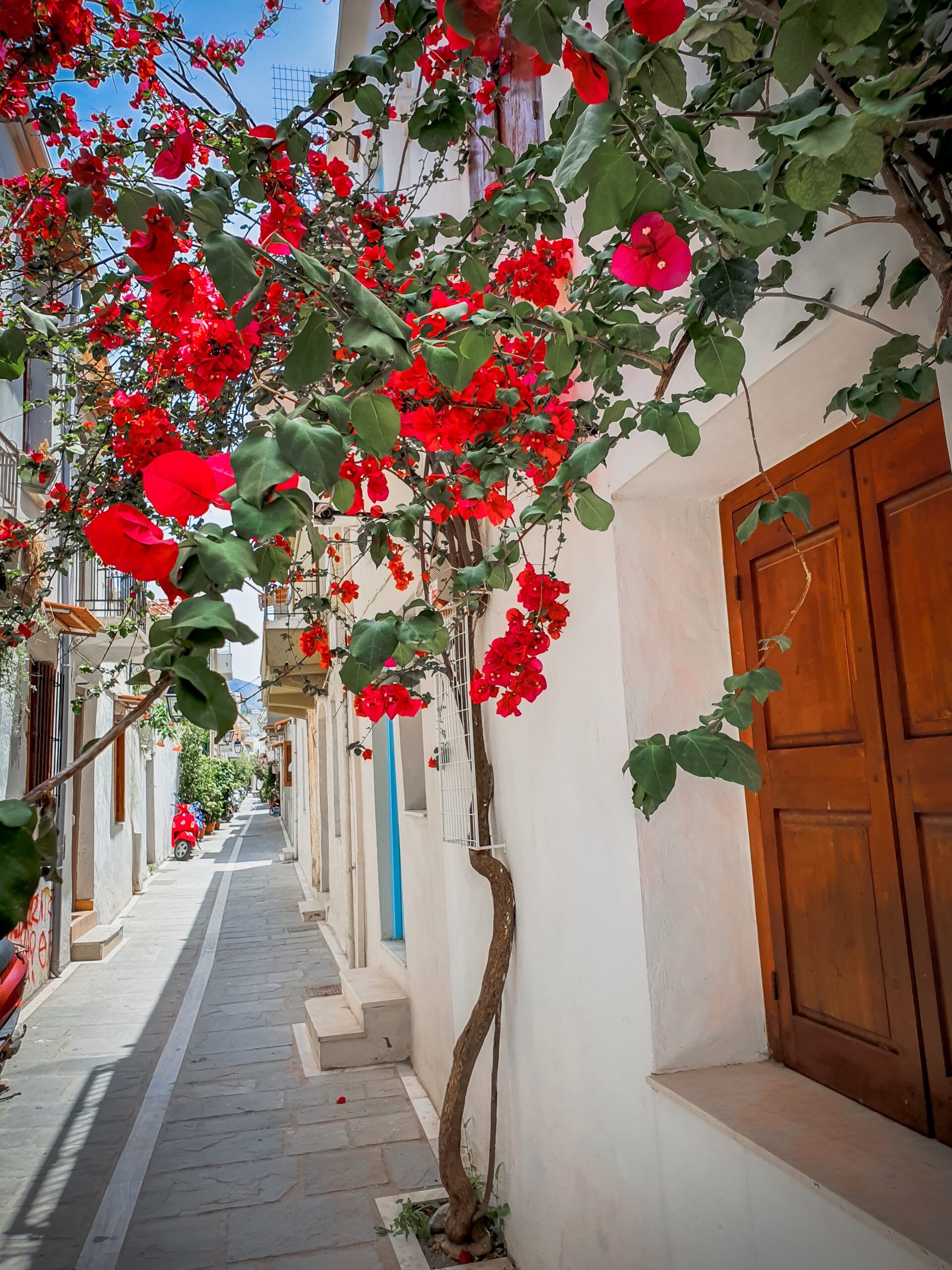 crete street