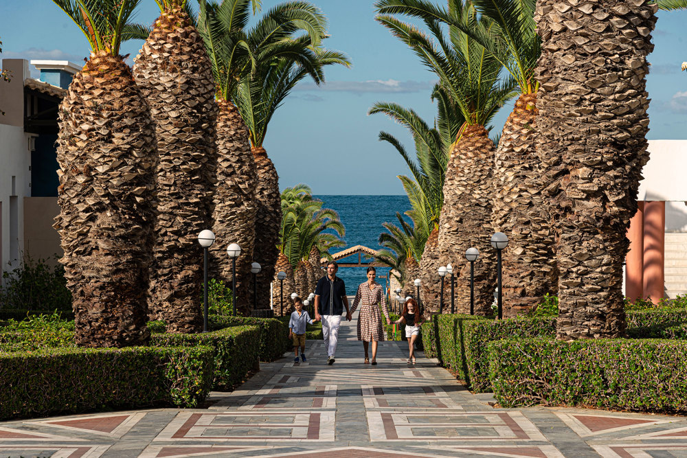 palm trees